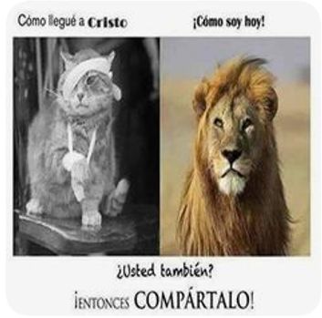 Sin Nombre